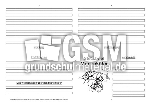 Marienkäfer-Faltbuch-vierseitig-3.pdf